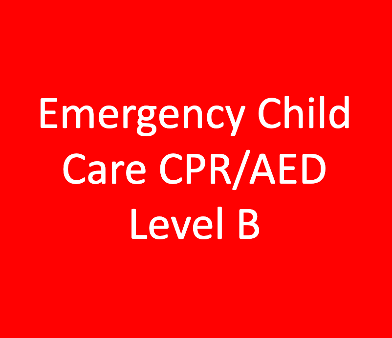 Z (EAB) - Emergency Child Care First Aid CPR/AED Level B