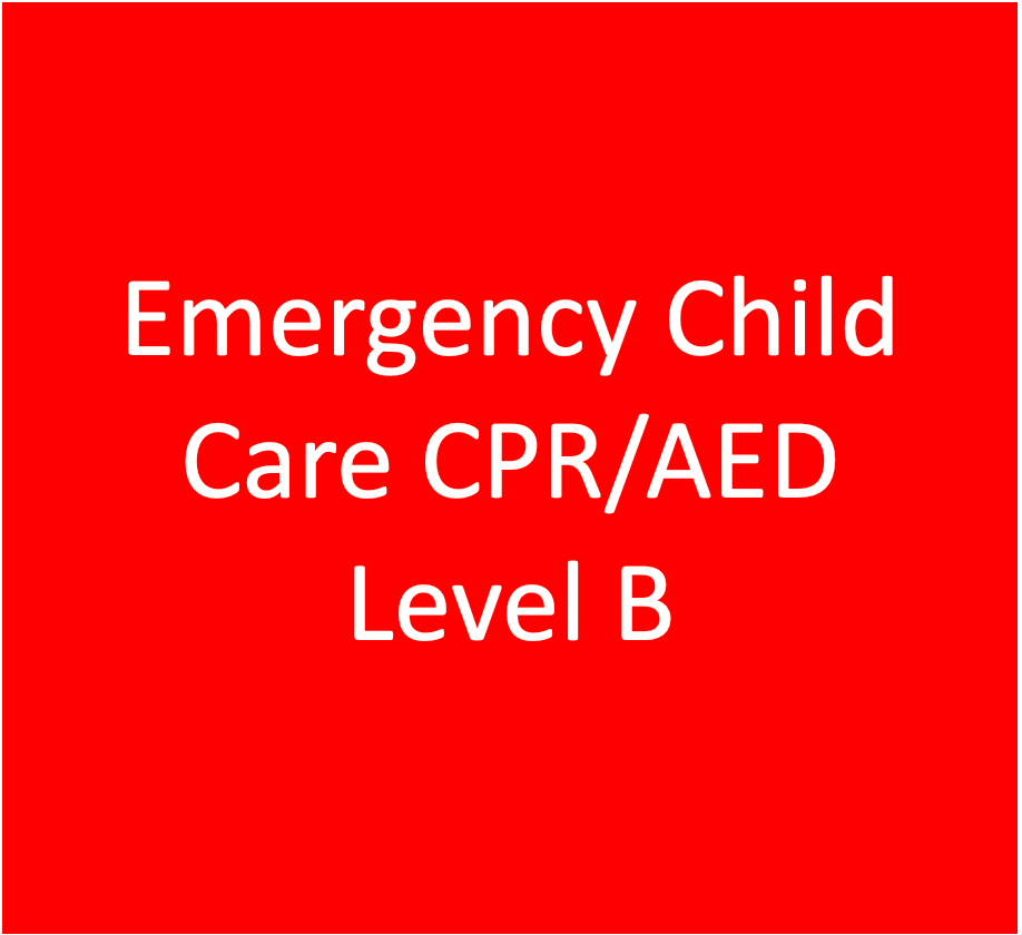 Emergency Child Care First Aid with CPR/AED Level B – Life Preservers ...