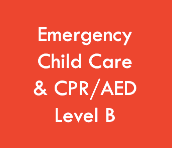 Emergency Child Care First Aid with CPR/AED Level B